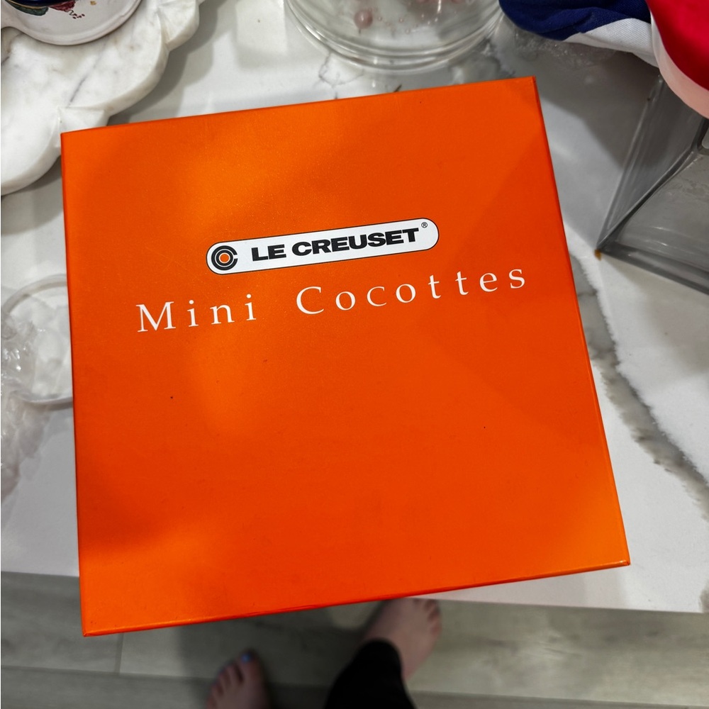 NIB Mini Cocottes in Caribbean set of 4